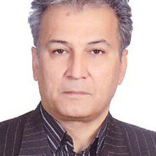 تصویر همایون محمدی درویشوند