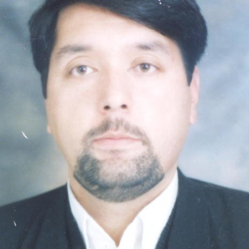 تصویر سید محمد حسینی