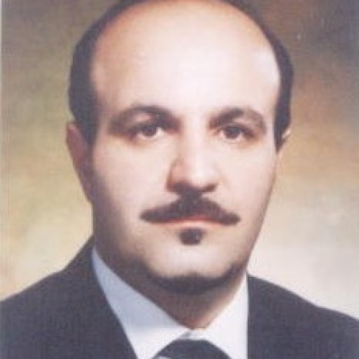 تصویر حسن صفرنژاد شلمانی