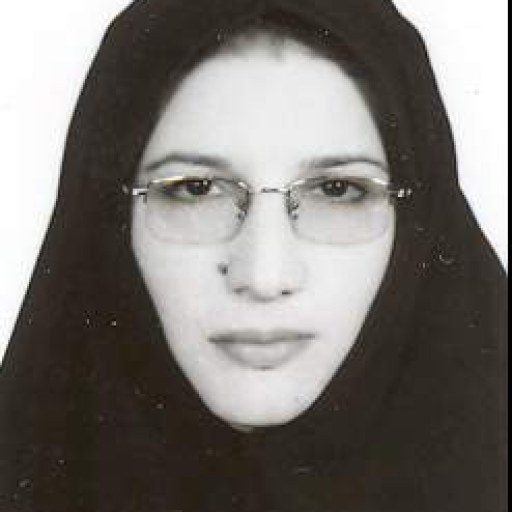 تصویر فاطمه افشار منش