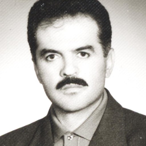 تصویر محمدحسین سرداری