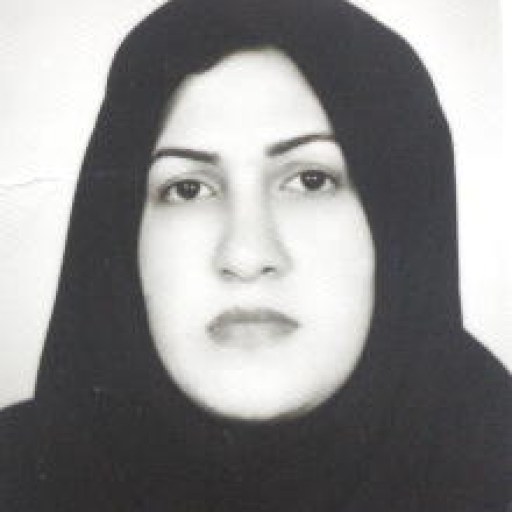 تصویر شراره پور رجبی طلمی
