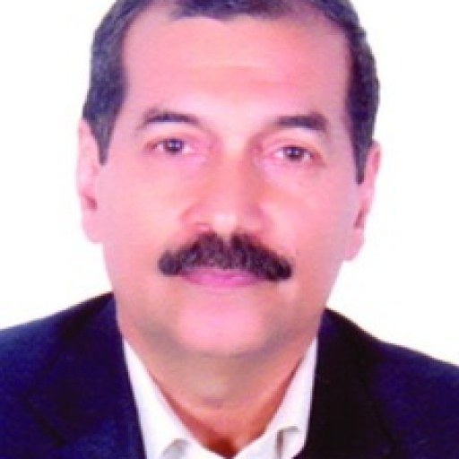 تصویر سیف الله حیدری