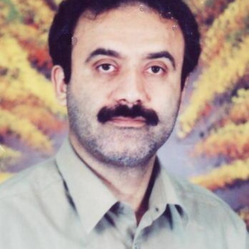 تصویر ارسلان محمدی