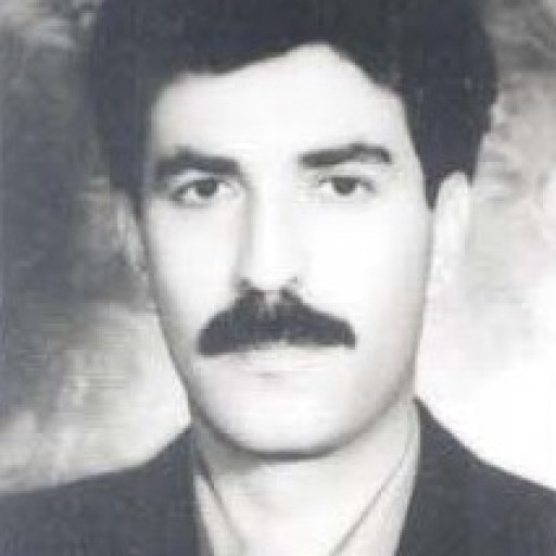تصویر سیدهادی رکنی