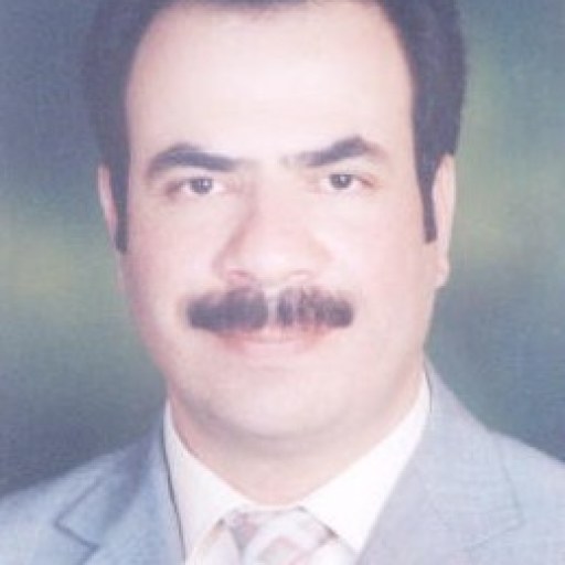 تصویر کیهان معتمدی