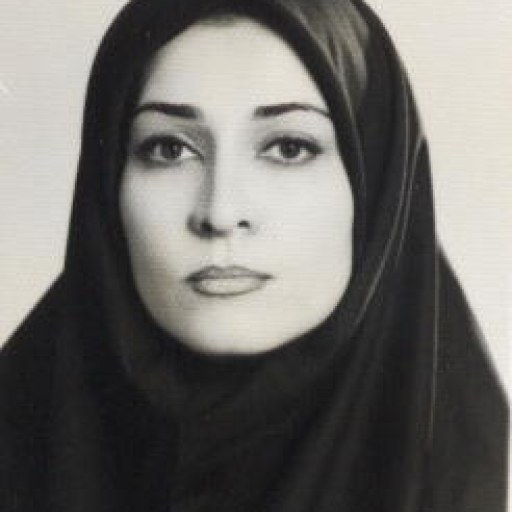 تصویر پریسا امینی