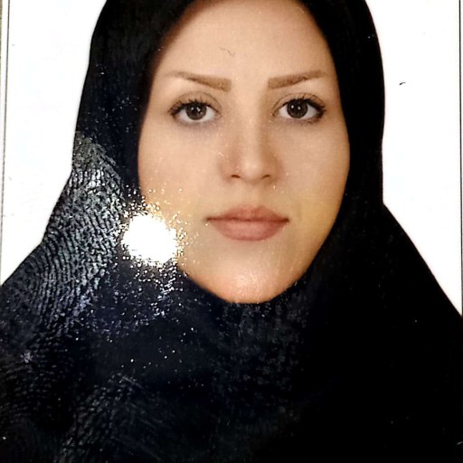 تصویر زینب احمدی میراقا
