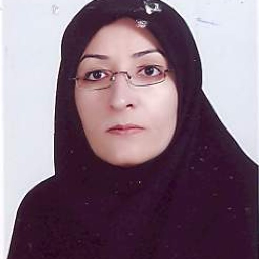 تصویر لیلا خاکسار حقانی