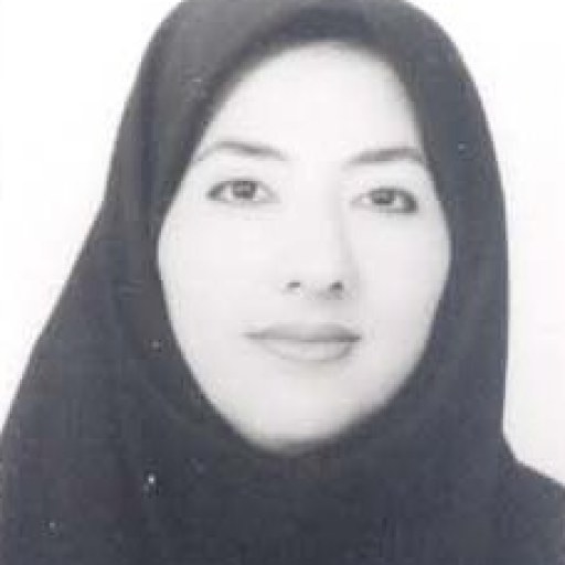 تصویر شهین فرید نیا