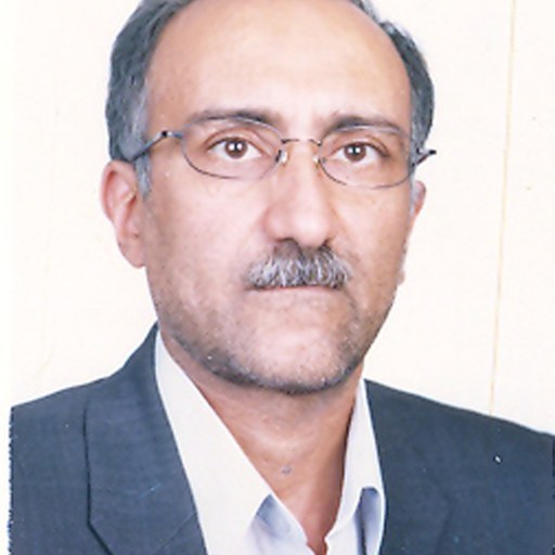 تصویر سید محمدرضا حسینی