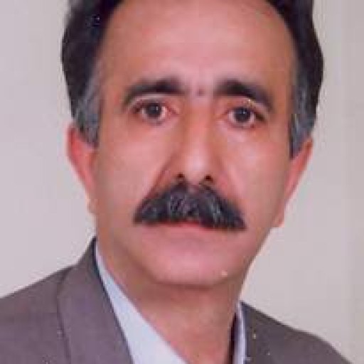 تصویر سیروس نظری قادیکلائی