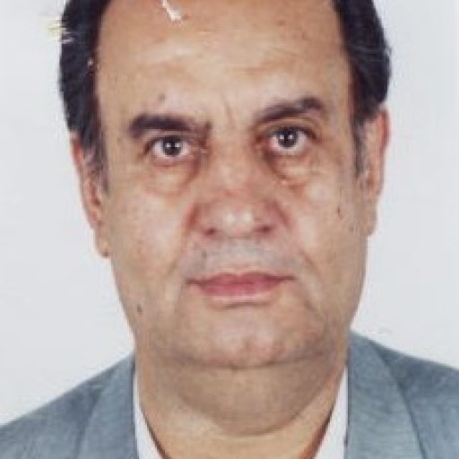 تصویر سید منیر بحرینی