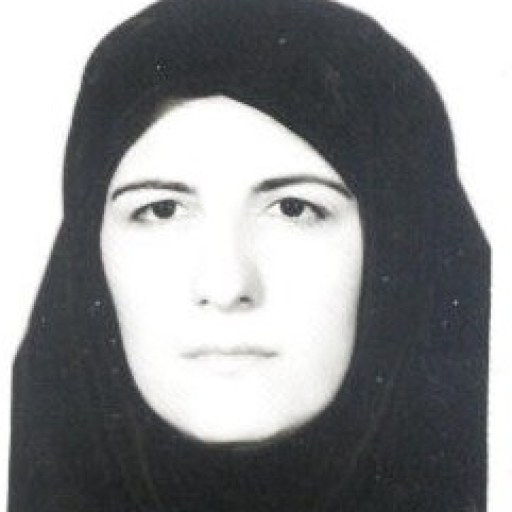 تصویر منیرالسادات صادقی