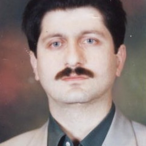 تصویر ابراهیم سلطانی لرگانی