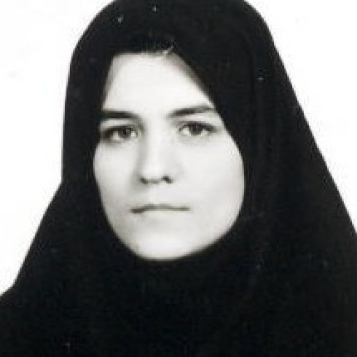 تصویر لیلا اسلامی مبین