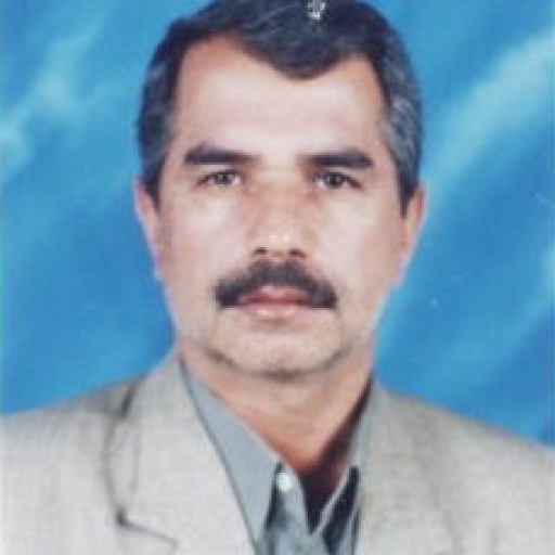 تصویر براتعلی براتی حصار