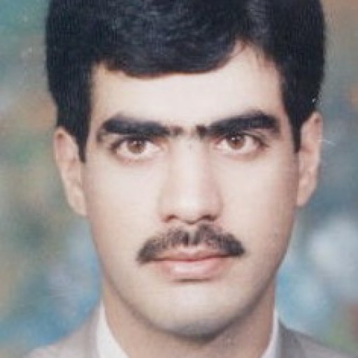 تصویر حمیدرضا محمدی