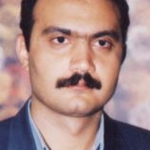 تصویر مجتبی هادلو