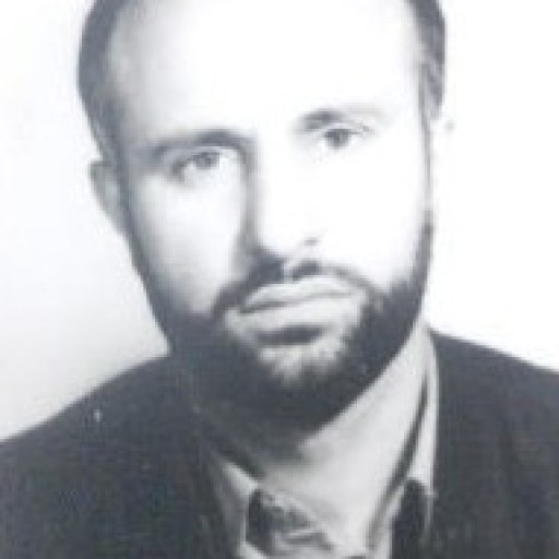 تصویر عادل طهماسبی