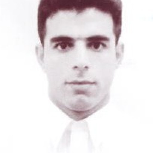 تصویر حامد داور پناه