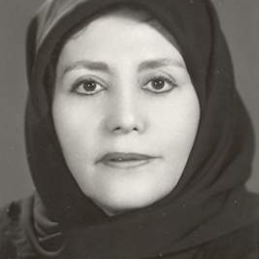 تصویر ایران نظری