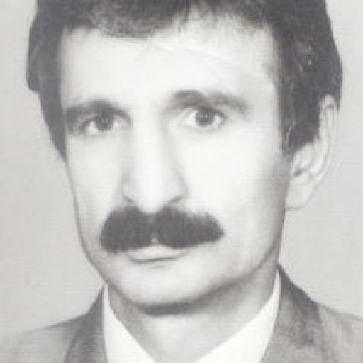 تصویر مهرداد صادقی