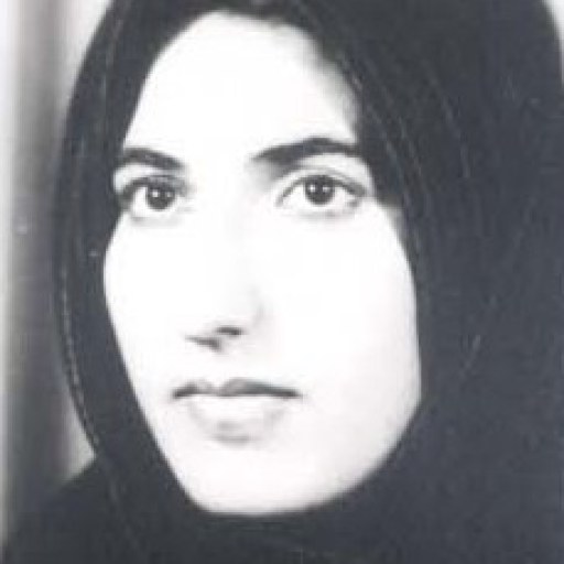 تصویر صغری پویا