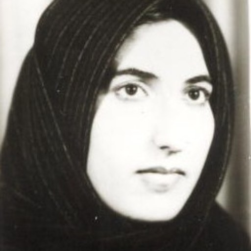 تصویر مینا تقی پور بیر گانی