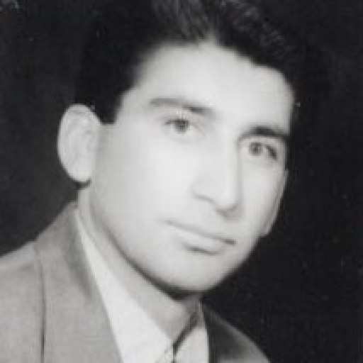 تصویر رضا ساده