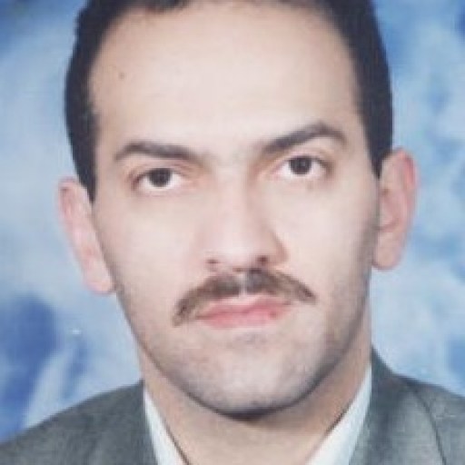 تصویر رضا عرب