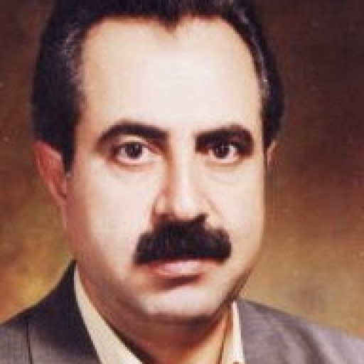 تصویر بهمن گل محمدی