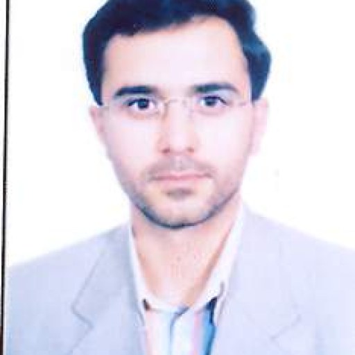 تصویر سیدمحمدرضا موسویها
