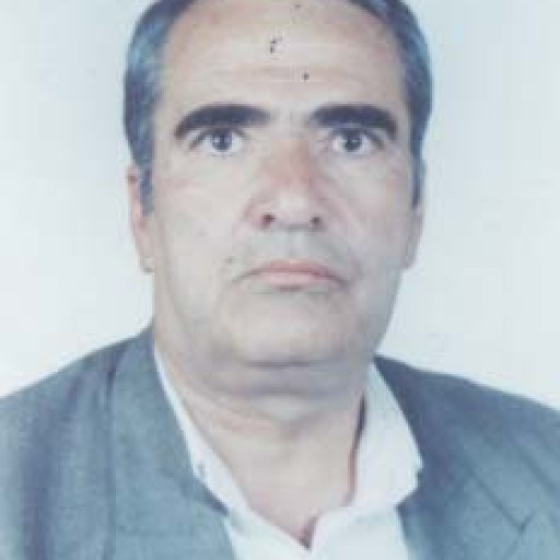 تصویر محمد علی باقری زفره