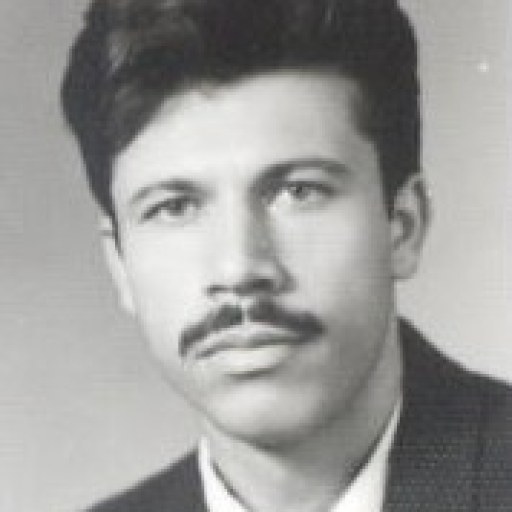 تصویر مجید روشن بین