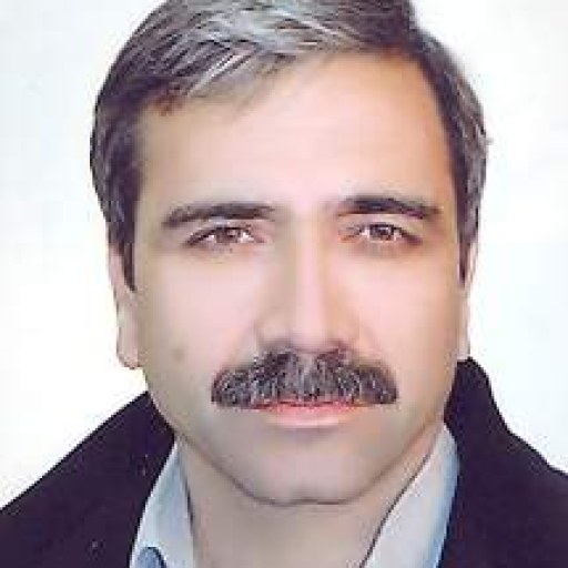 تصویر حسین صبایی