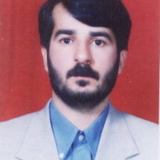 تصویر علی محمد پور