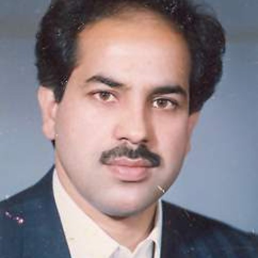 تصویر حسین سنگانی