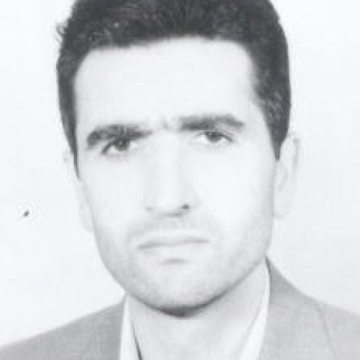 تصویر حسن ابراهیم زاده پاشا