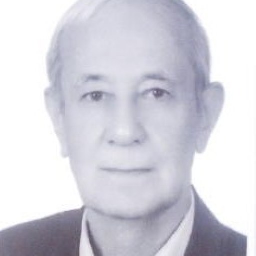 تصویر سید محمد حسین هاشمی