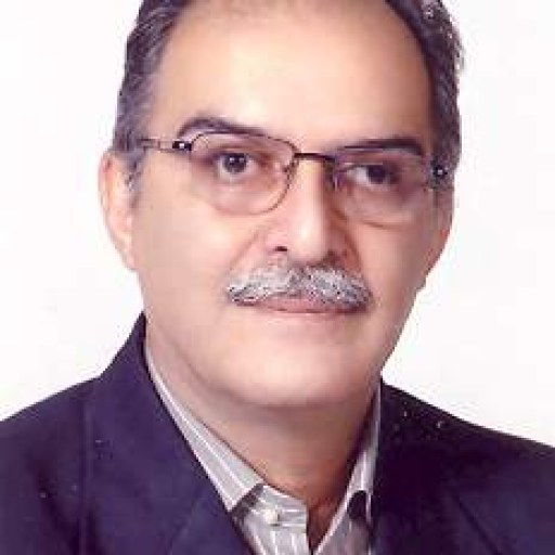 تصویر سید حسین صفوی زاده