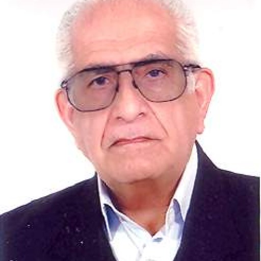 تصویر سید حسین ضوئی