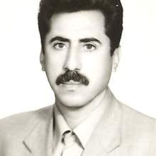 تصویر حمید میرزاوند