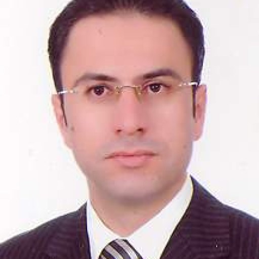 تصویر حمیدرضا سلمانیان
