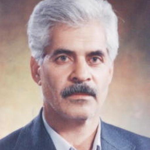 تصویر محمد آریا نژاد
