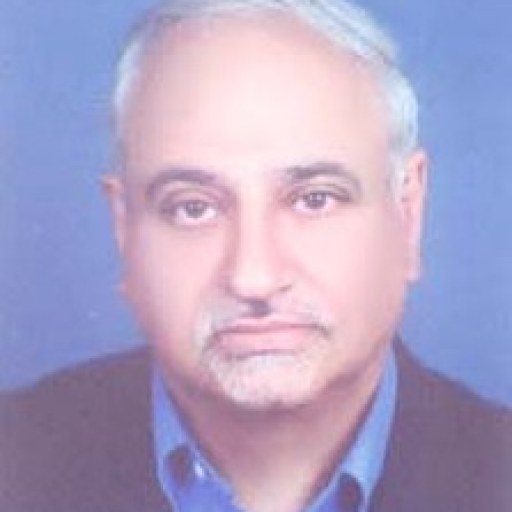 تصویر محمد کرمانشاهی