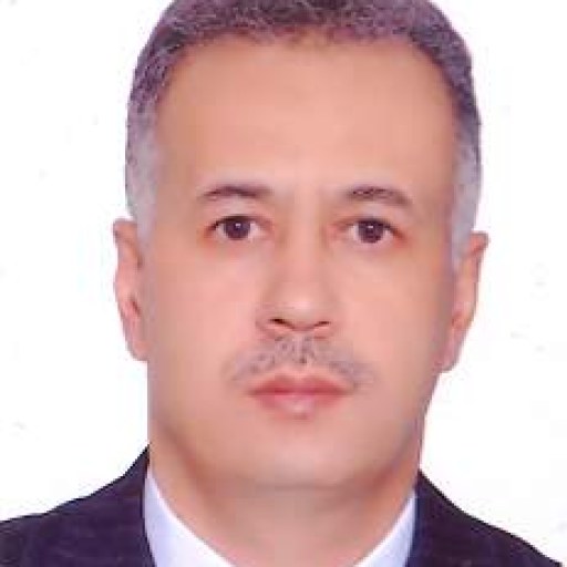 تصویر حسین مهدی خانی