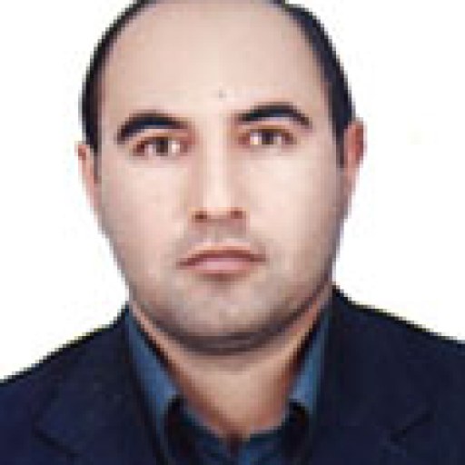 تصویر سیاوش حسین پور
