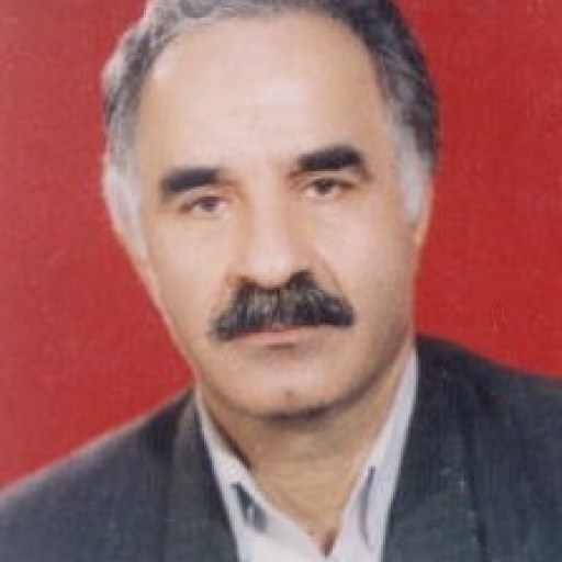 تصویر علی رضائی