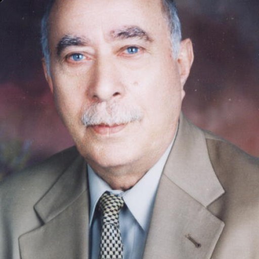 تصویر بهزاد بهزادی